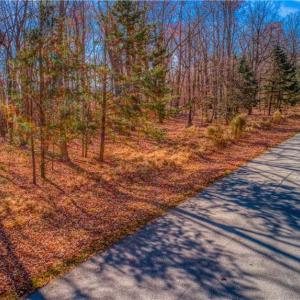 Photo #19 of 1644 Sierra Trace, Denton, NC 5.3 acres