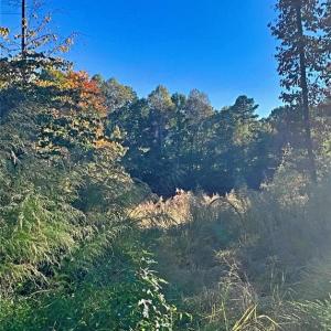 Photo #7 of 1901 Carver, Roxboro, NC 8.9 acres