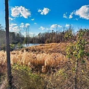 Photo #8 of 1901 Carver, Roxboro, NC 8.9 acres