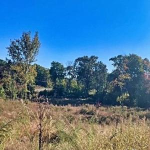 Photo #13 of 1901 Carver, Roxboro, NC 8.9 acres
