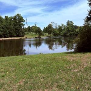 Photo #3 of 1901 Carver, Roxboro, NC 8.9 acres