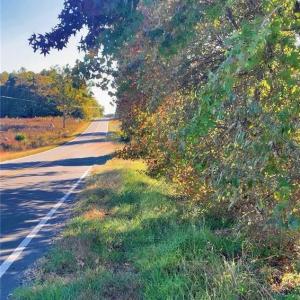 Photo #14 of 1901 Carver, Roxboro, NC 8.9 acres