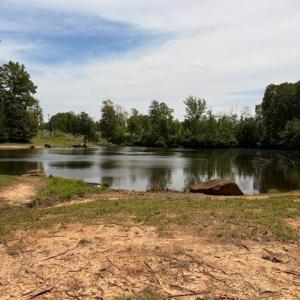 Photo #4 of 1901 Carver, Roxboro, NC 8.9 acres
