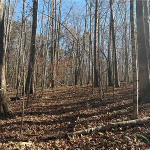 Photo #23 of 3131 Zz Huffine Mill, Gibsonville, NC 29.4 acres