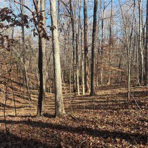 Photo #13 of 3131 Zz Huffine Mill, Gibsonville, NC 29.4 acres