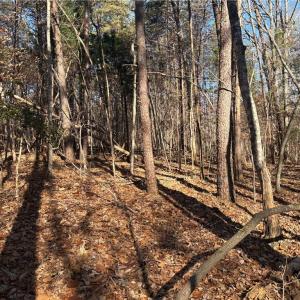 Photo #17 of 3131 Zz Huffine Mill, Gibsonville, NC 29.4 acres