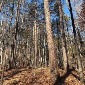 Photo #16 of 3131 Zz Huffine Mill, Gibsonville, NC 29.4 acres