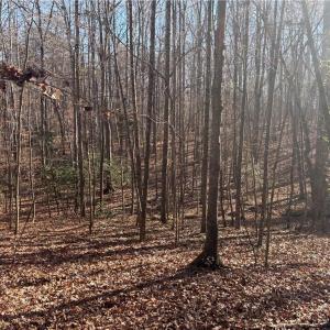 Photo #22 of 3131 Zz Huffine Mill, Gibsonville, NC 29.4 acres