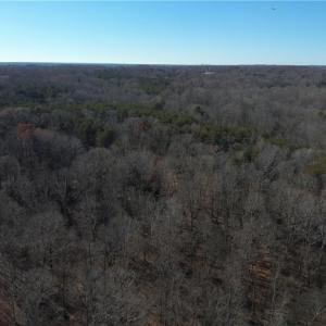 Photo #7 of 3131 Zz Huffine Mill, Gibsonville, NC 29.4 acres