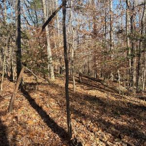 Photo #20 of 3131 Zz Huffine Mill, Gibsonville, NC 29.4 acres