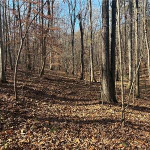 Photo #24 of 3131 Zz Huffine Mill, Gibsonville, NC 29.4 acres