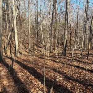 Photo #10 of 3131 Zz Huffine Mill, Gibsonville, NC 29.4 acres