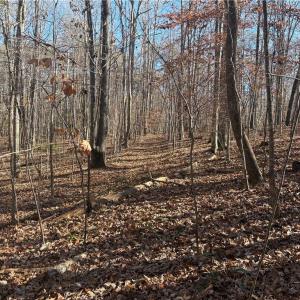 Photo #15 of 3131 Zz Huffine Mill, Gibsonville, NC 29.4 acres