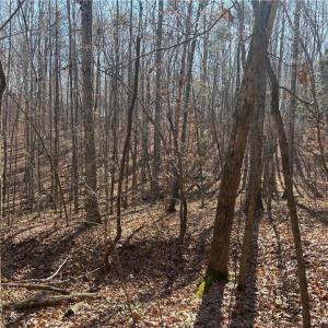 Photo #19 of 3131 Zz Huffine Mill, Gibsonville, NC 29.4 acres