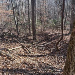 Photo #21 of 3131 Zz Huffine Mill, Gibsonville, NC 29.4 acres