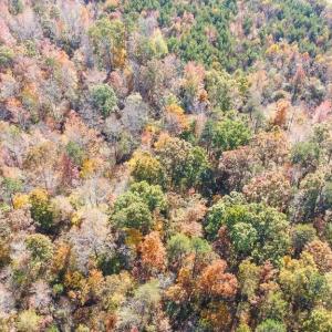 Photo #17 of 5509,5505,5505zz, 5509zz, DRAKE, Greensboro, NC 20.3 acres