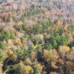 Photo #12 of 5509,5505,5505zz, 5509zz, DRAKE, Greensboro, NC 20.3 acres