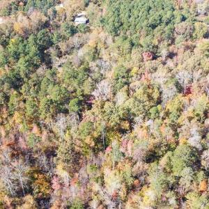 Photo #19 of 5509,5505,5505zz, 5509zz, DRAKE, Greensboro, NC 20.3 acres