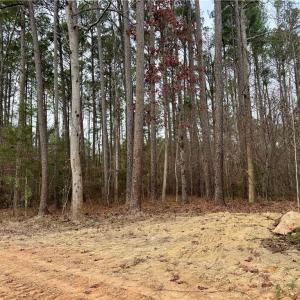 Photo #13 of Dover Church, Seagrove, NC 29.2 acres