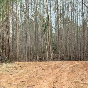 Photo #17 of Dover Church, Seagrove, NC 29.2 acres