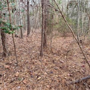 Photo #16 of Dover Church, Seagrove, NC 29.2 acres