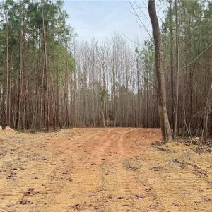 Photo #12 of Dover Church, Seagrove, NC 29.2 acres