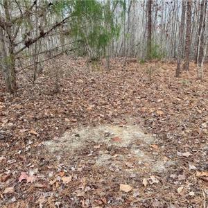 Photo #10 of Dover Church, Seagrove, NC 29.2 acres