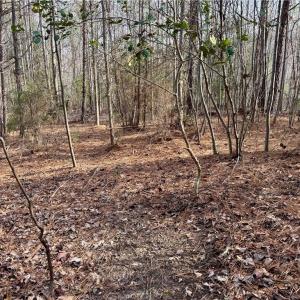 Photo #23 of Dover Church, Seagrove, NC 29.2 acres