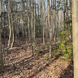 Photo #27 of Dover Church, Seagrove, NC 29.2 acres