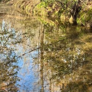 beautiful stream crossing the property