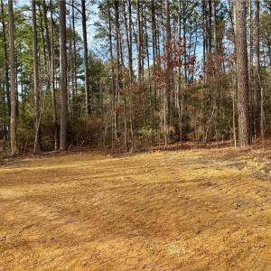 Photo #13 of Dover Church, Seagrove, NC 29.2 acres