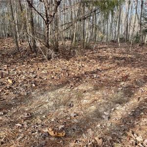 Photo #17 of Dover Church, Seagrove, NC 29.2 acres