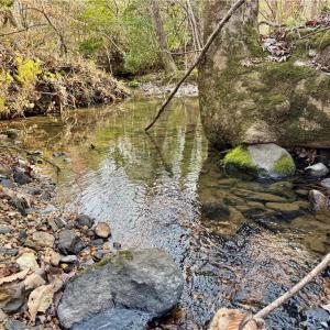 tranquil creek crossing the property