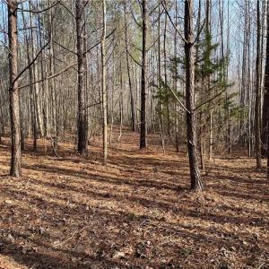 Photo #26 of Dover Church, Seagrove, NC 29.2 acres