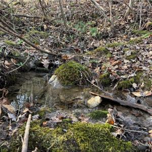 spring located on property