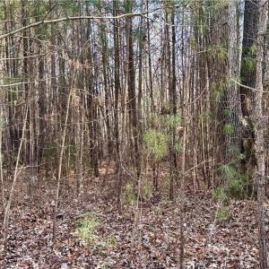 Photo #28 of Dover Church, Seagrove, NC 29.2 acres