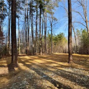 Homesite has been cleared and a perk location has been established