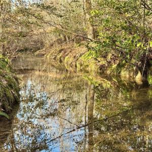 tranquil creek crossing the property