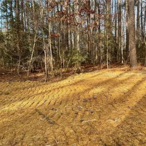 Photo #10 of Dover Church, Seagrove, NC 29.2 acres
