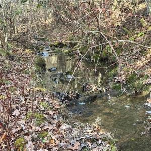 Photo #18 of Dover Church, Seagrove, NC 29.2 acres