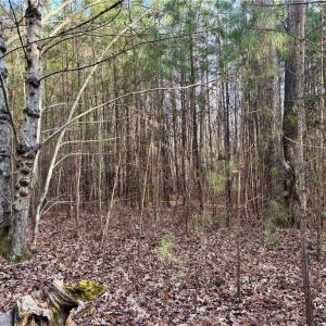 Photo #29 of Dover Church, Seagrove, NC 29.2 acres