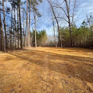 Photo #8 of Dover Church, Seagrove, NC 29.2 acres