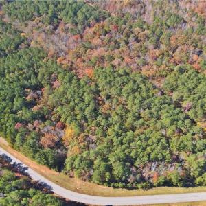 Photo #6 of 193 State, Rockingham, NC 3.7 acres