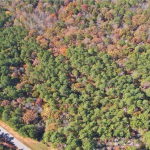 Photo #5 of 193 State, Rockingham, NC 3.7 acres