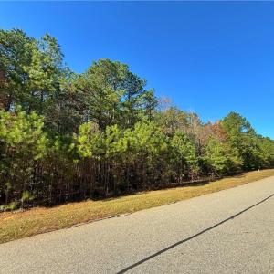 Photo #9 of 193 State, Rockingham, NC 3.7 acres