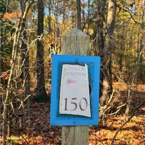 Photo #8 of 193 State, Rockingham, NC 3.7 acres