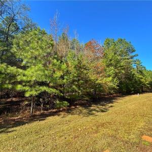 Photo #10 of 193 State, Rockingham, NC 3.7 acres