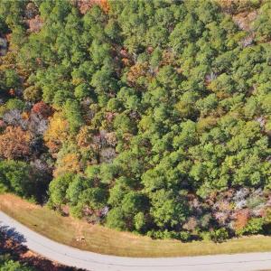 Photo #4 of 193 State, Rockingham, NC 3.7 acres