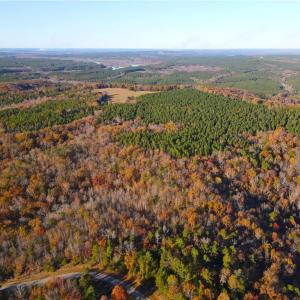 Photo #7 of 176 Lake View Pass, Rockingham, NC 5.1 acres