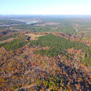 Photo #6 of 176 Lake View Pass, Rockingham, NC 5.1 acres